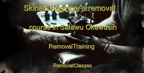 Skinart Beginner's removal course in Salawu Okewusin | RemovalTraining | RemovalClasses | SkinartTraining-Nigeria