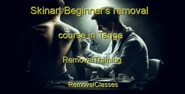 Skinart Beginner's removal course in Tanga | RemovalTraining | RemovalClasses | SkinartTraining-Nigeria