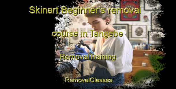 Skinart Beginner's removal course in Tangebe | RemovalTraining | RemovalClasses | SkinartTraining-Nigeria