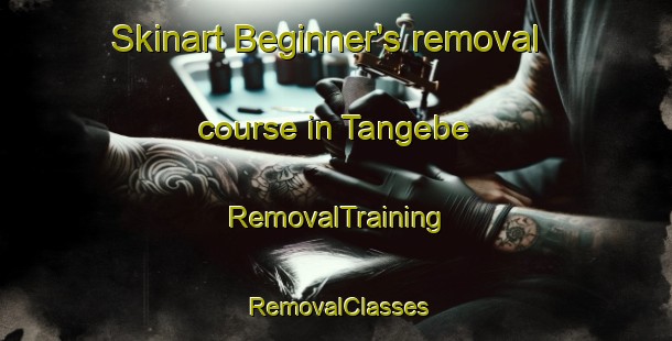 Skinart Beginner's removal course in Tangebe | RemovalTraining | RemovalClasses | SkinartTraining-Nigeria