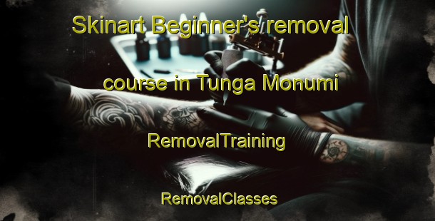 Skinart Beginner's removal course in Tunga Monumi | RemovalTraining | RemovalClasses | SkinartTraining-Nigeria
