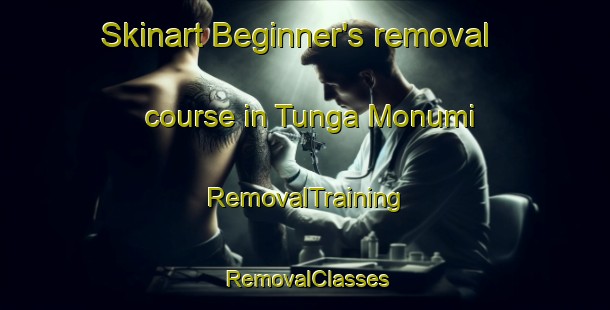 Skinart Beginner's removal course in Tunga Monumi | RemovalTraining | RemovalClasses | SkinartTraining-Nigeria