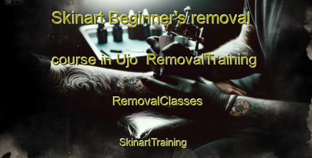 Skinart Beginner's removal course in Ujo | RemovalTraining | RemovalClasses | SkinartTraining-Nigeria