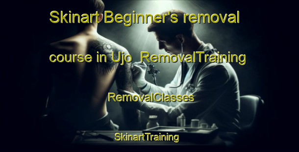 Skinart Beginner's removal course in Ujo | RemovalTraining | RemovalClasses | SkinartTraining-Nigeria