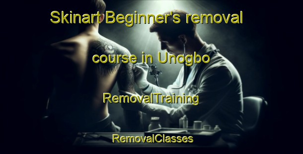 Skinart Beginner's removal course in Unogbo | RemovalTraining | RemovalClasses | SkinartTraining-Nigeria