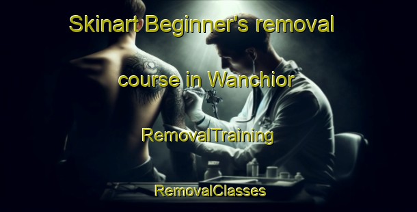 Skinart Beginner's removal course in Wanchior | RemovalTraining | RemovalClasses | SkinartTraining-Nigeria