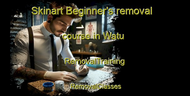Skinart Beginner's removal course in Watu | RemovalTraining | RemovalClasses | SkinartTraining-Nigeria
