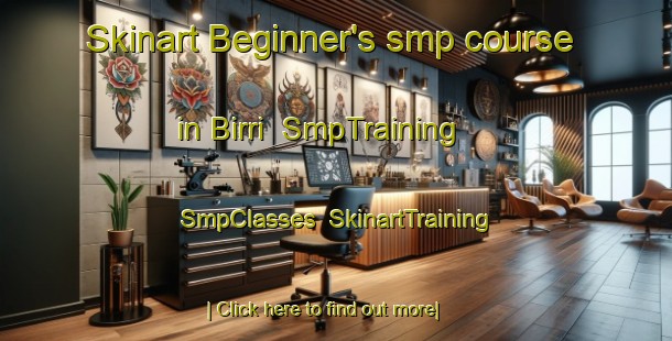 Skinart Beginner's smp course in Birri | SmpTraining | SmpClasses | SkinartTraining-Nigeria
