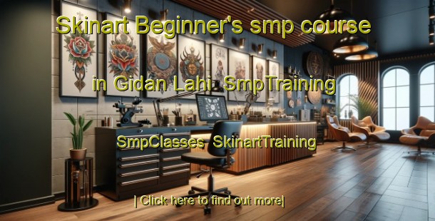 Skinart Beginner's smp course in Gidan Lahi | SmpTraining | SmpClasses | SkinartTraining-Nigeria
