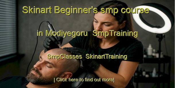 Skinart Beginner's smp course in Modiyegoru | SmpTraining | SmpClasses | SkinartTraining-Nigeria