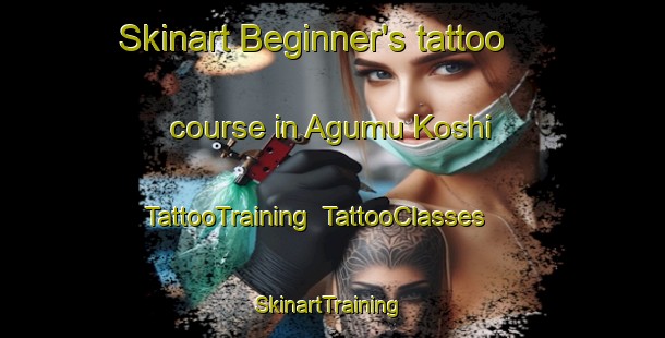 Skinart Beginner's tattoo course in Agumu Koshi | TattooTraining | TattooClasses | SkinartTraining-Nigeria