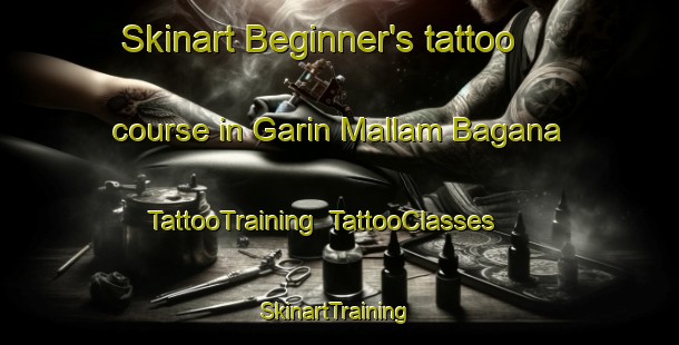 Skinart Beginner's tattoo course in Garin Mallam Bagana | TattooTraining | TattooClasses | SkinartTraining-Nigeria