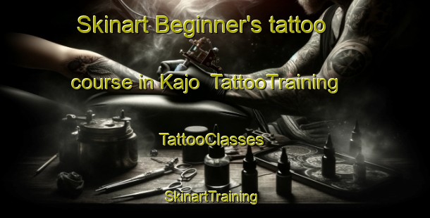 Skinart Beginner's tattoo course in Kajo | TattooTraining | TattooClasses | SkinartTraining-Nigeria