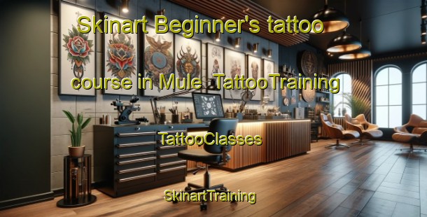 Skinart Beginner's tattoo course in Mule | TattooTraining | TattooClasses | SkinartTraining-Nigeria