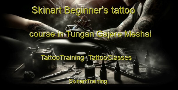 Skinart Beginner's tattoo course in Tungan Gajere Meshai | TattooTraining | TattooClasses | SkinartTraining-Nigeria