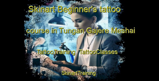 Skinart Beginner's tattoo course in Tungan Gajere Meshai | TattooTraining | TattooClasses | SkinartTraining-Nigeria