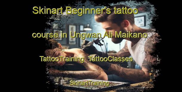 Skinart Beginner's tattoo course in Ungwan Ali Maikano | TattooTraining | TattooClasses | SkinartTraining-Nigeria