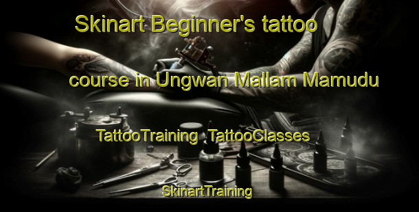 Skinart Beginner's tattoo course in Ungwan Mallam Mamudu | TattooTraining | TattooClasses | SkinartTraining-Nigeria