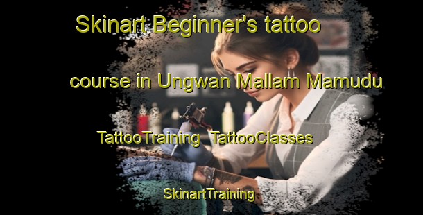 Skinart Beginner's tattoo course in Ungwan Mallam Mamudu | TattooTraining | TattooClasses | SkinartTraining-Nigeria
