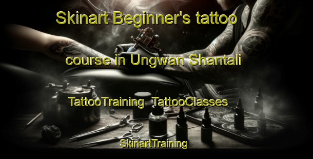 Skinart Beginner's tattoo course in Ungwan Shantali | TattooTraining | TattooClasses | SkinartTraining-Nigeria