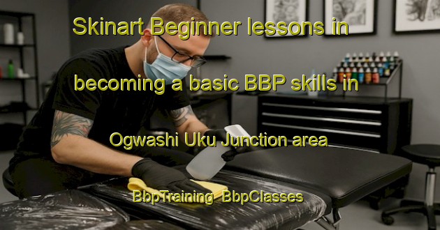 Skinart Beginner lessons in becoming a basic BBP skills in Ogwashi Uku Junction area | BbpTraining | BbpClasses | SkinartTraining-Nigeria
