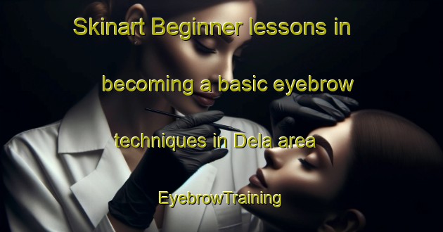 Skinart Beginner lessons in becoming a basic eyebrow techniques in Dela area | EyebrowTraining | EyebrowClasses | SkinartTraining-Nigeria