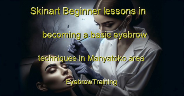 Skinart Beginner lessons in becoming a basic eyebrow techniques in Manyatoko area | EyebrowTraining | EyebrowClasses | SkinartTraining-Nigeria