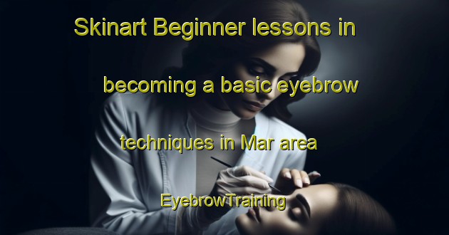 Skinart Beginner lessons in becoming a basic eyebrow techniques in Mar area | EyebrowTraining | EyebrowClasses | SkinartTraining-Nigeria