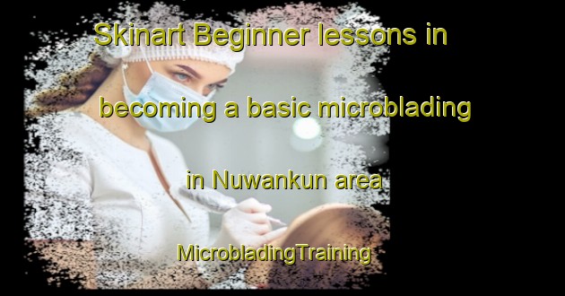 Skinart Beginner lessons in becoming a basic microblading in Nuwankun area | MicrobladingTraining | MicrobladingClasses | SkinartTraining-Nigeria