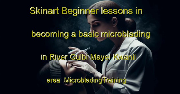 Skinart Beginner lessons in becoming a basic microblading in River Gulbi Mayel Kwanii area | MicrobladingTraining | MicrobladingClasses | SkinartTraining-Nigeria