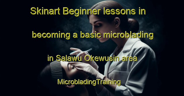 Skinart Beginner lessons in becoming a basic microblading in Salawu Okewusin area | MicrobladingTraining | MicrobladingClasses | SkinartTraining-Nigeria