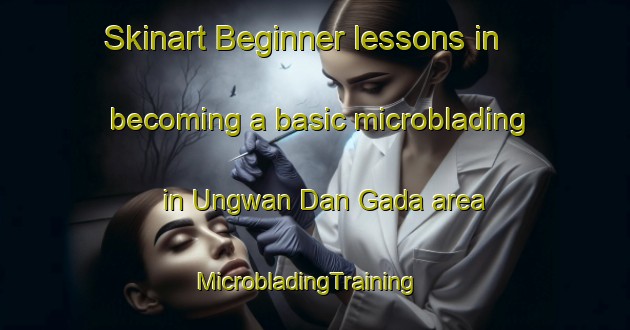 Skinart Beginner lessons in becoming a basic microblading in Ungwan Dan Gada area | MicrobladingTraining | MicrobladingClasses | SkinartTraining-Nigeria