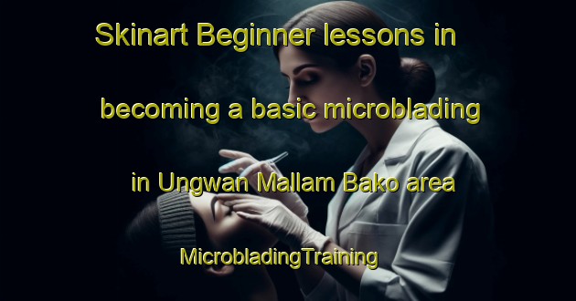 Skinart Beginner lessons in becoming a basic microblading in Ungwan Mallam Bako area | MicrobladingTraining | MicrobladingClasses | SkinartTraining-Nigeria