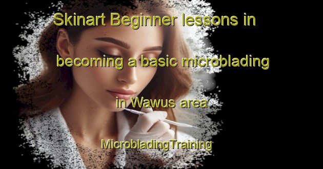 Skinart Beginner lessons in becoming a basic microblading in Wawus area | MicrobladingTraining | MicrobladingClasses | SkinartTraining-Nigeria