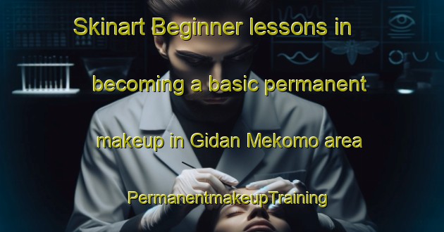 Skinart Beginner lessons in becoming a basic permanent makeup in Gidan Mekomo area | PermanentmakeupTraining | PermanentmakeupClasses | SkinartTraining-Nigeria