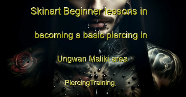 Skinart Beginner lessons in becoming a basic piercing in Ungwan Maliki area | PiercingTraining | PiercingClasses | SkinartTraining-Nigeria