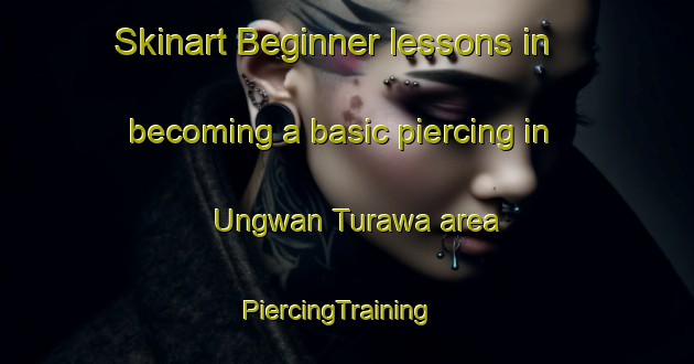 Skinart Beginner lessons in becoming a basic piercing in Ungwan Turawa area | PiercingTraining | PiercingClasses | SkinartTraining-Nigeria