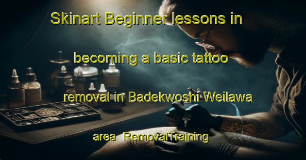 Skinart Beginner lessons in becoming a basic tattoo removal in Badekwoshi Weilawa area | RemovalTraining | RemovalClasses | SkinartTraining-Nigeria