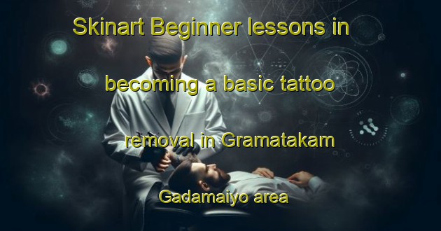 Skinart Beginner lessons in becoming a basic tattoo removal in Gramatakam Gadamaiyo area | RemovalTraining | RemovalClasses | SkinartTraining-Nigeria