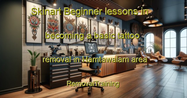 Skinart Beginner lessons in becoming a basic tattoo removal in Hamtawalam area | RemovalTraining | RemovalClasses | SkinartTraining-Nigeria