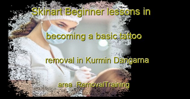 Skinart Beginner lessons in becoming a basic tattoo removal in Kurmin Dangarna area | RemovalTraining | RemovalClasses | SkinartTraining-Nigeria