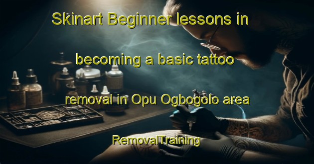 Skinart Beginner lessons in becoming a basic tattoo removal in Opu Ogbogolo area | RemovalTraining | RemovalClasses | SkinartTraining-Nigeria