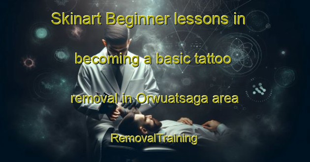 Skinart Beginner lessons in becoming a basic tattoo removal in Orwuatsaga area | RemovalTraining | RemovalClasses | SkinartTraining-Nigeria