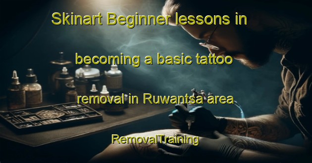 Skinart Beginner lessons in becoming a basic tattoo removal in Ruwantsa area | RemovalTraining | RemovalClasses | SkinartTraining-Nigeria