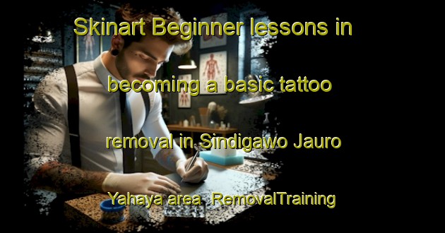 Skinart Beginner lessons in becoming a basic tattoo removal in Sindigawo Jauro Yahaya area | RemovalTraining | RemovalClasses | SkinartTraining-Nigeria