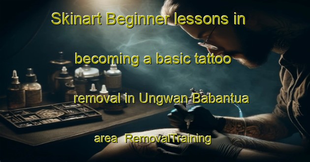 Skinart Beginner lessons in becoming a basic tattoo removal in Ungwan Babantua area | RemovalTraining | RemovalClasses | SkinartTraining-Nigeria