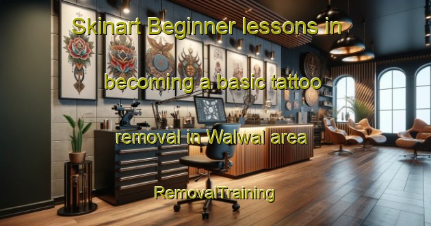 Skinart Beginner lessons in becoming a basic tattoo removal in Walwal area | RemovalTraining | RemovalClasses | SkinartTraining-Nigeria