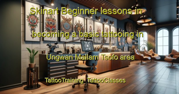 Skinart Beginner lessons in becoming a basic tattooing in Ungwan Mallam Tsofo area | TattooTraining | TattooClasses | SkinartTraining-Nigeria