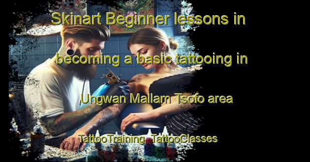 Skinart Beginner lessons in becoming a basic tattooing in Ungwan Mallam Tsofo area | TattooTraining | TattooClasses | SkinartTraining-Nigeria