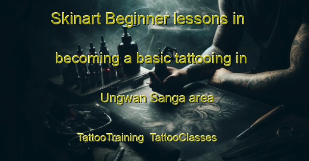 Skinart Beginner lessons in becoming a basic tattooing in Ungwan Sanga area | TattooTraining | TattooClasses | SkinartTraining-Nigeria